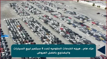 مزاد هام.. هيئة الخدمات الحكومية تحدد 8 سبتمبر لبيع السيارات والبضائع بأفضل العروض